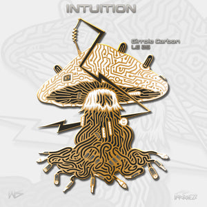 Intuition Pin - NARBONEZZ