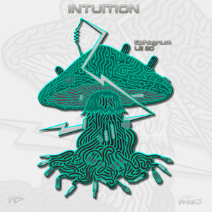 Intuition Pin - NARBONEZZ