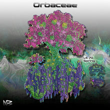 Load image into Gallery viewer, Orbaceae Pin - NARBONEZZ