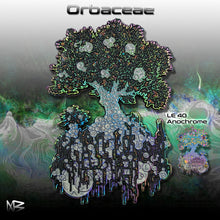 Load image into Gallery viewer, Orbaceae Pin - NARBONEZZ