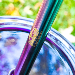 Collapsible Stainless Steel Straw - NARBONEZZ